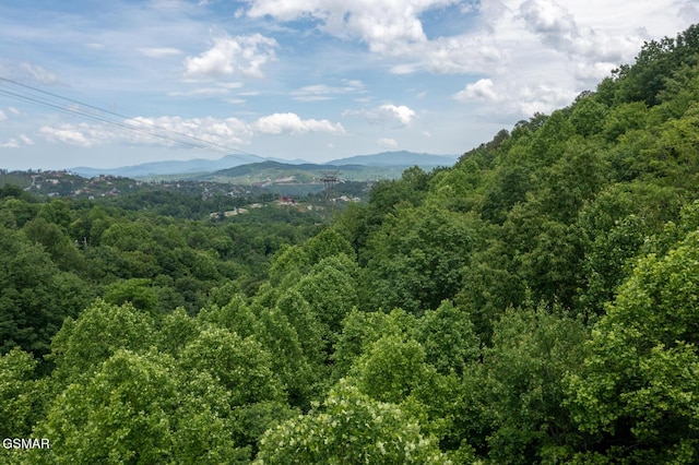 LOT10 Zurich Rd, Gatlinburg, TN 37738 - photo 12