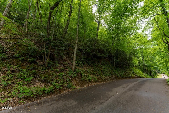 LOT10 Zurich Rd, Gatlinburg, TN 37738 - photo 3