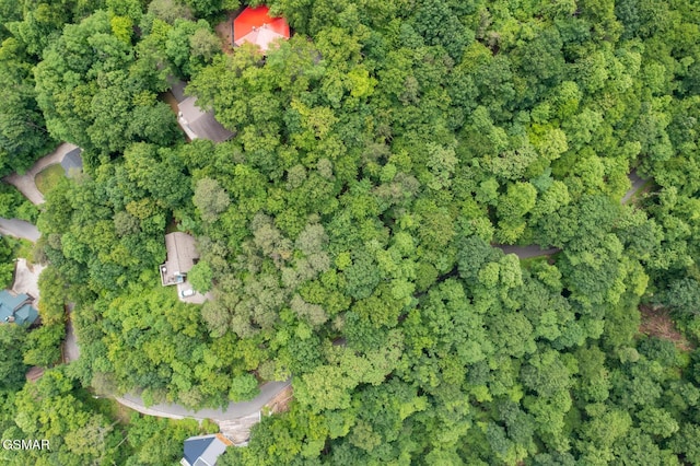 LOT10 Zurich Rd, Gatlinburg, TN 37738 - photo 5