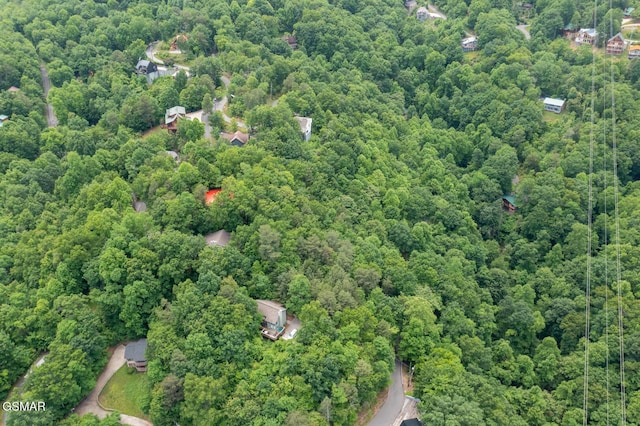 LOT10 Zurich Rd, Gatlinburg, TN 37738 - photo 6