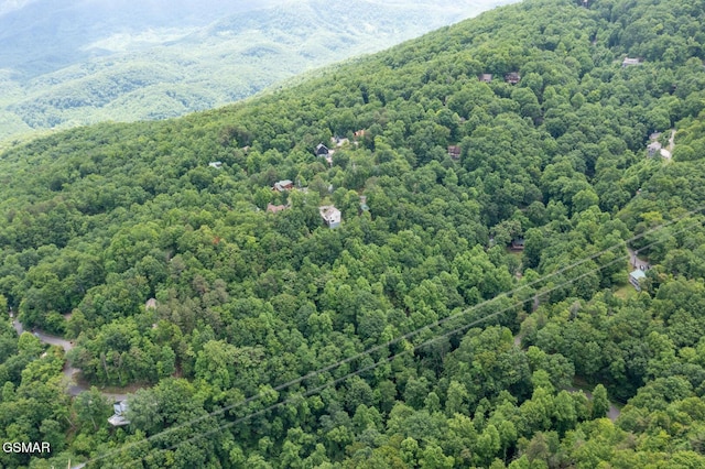 LOT10 Zurich Rd, Gatlinburg, TN 37738 - photo 8