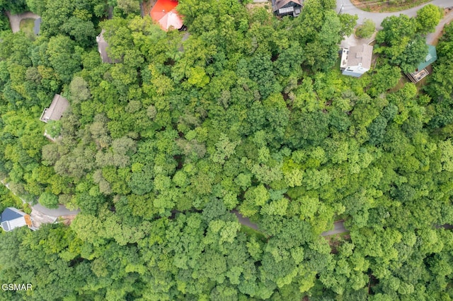 LOT10 Zurich Rd, Gatlinburg, TN 37738 - photo 4