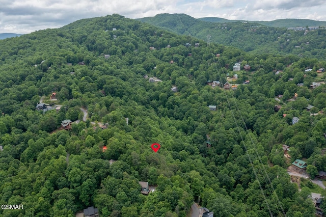 LOT10 Zurich Rd, Gatlinburg, TN 37738 - photo 7