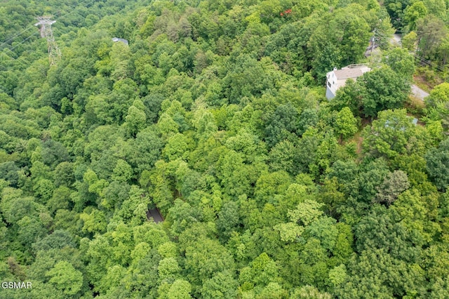 LOT10 Zurich Rd, Gatlinburg, TN 37738 - photo 10