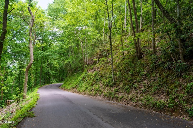 LOT10 Zurich Rd, Gatlinburg, TN 37738 - photo 2
