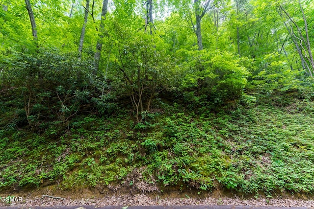LOT10 Zurich Rd, Gatlinburg, TN 37738 - photo 1