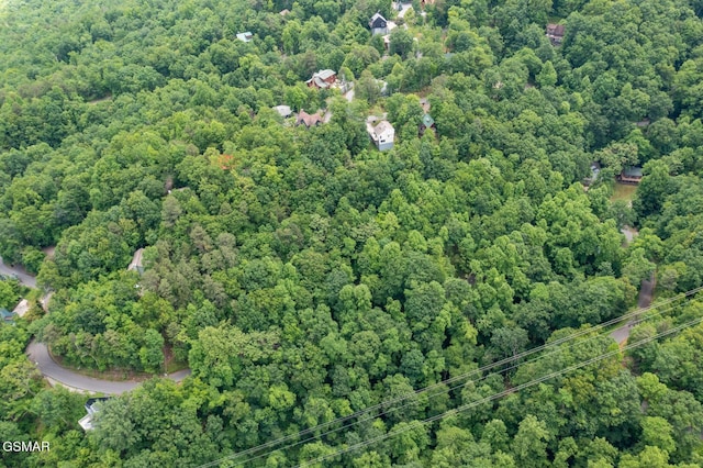 LOT10 Zurich Rd, Gatlinburg, TN 37738 - photo 9