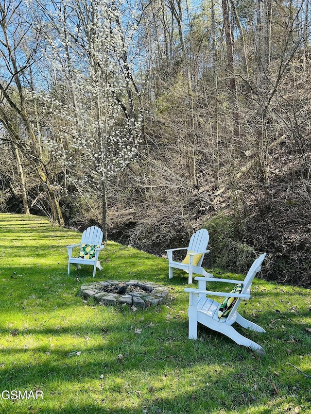 view of yard with an outdoor fire pit