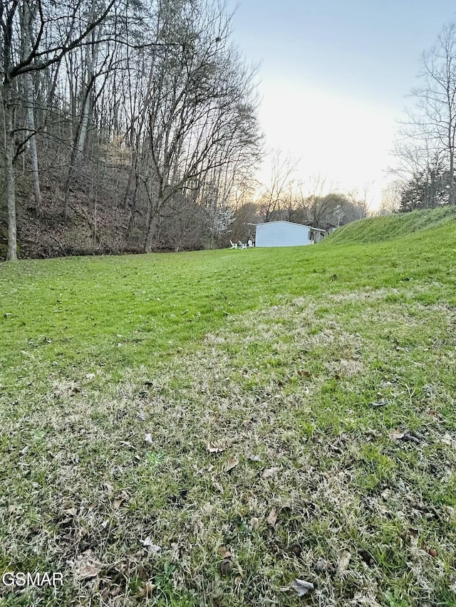 view of yard with a water view