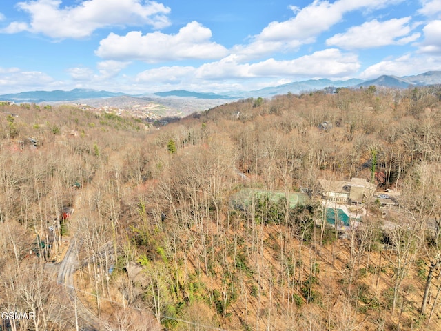 property view of mountains featuring a wooded view