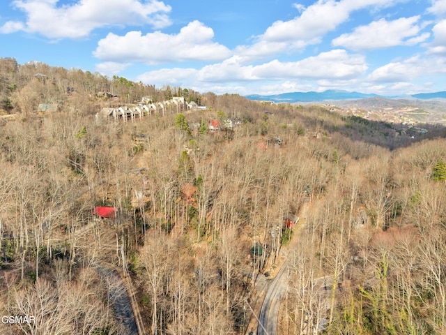property view of mountains featuring a forest view