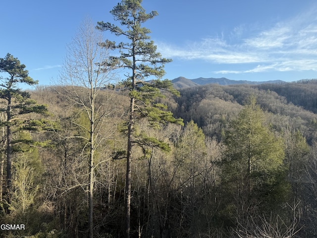 mountain view featuring a forest view