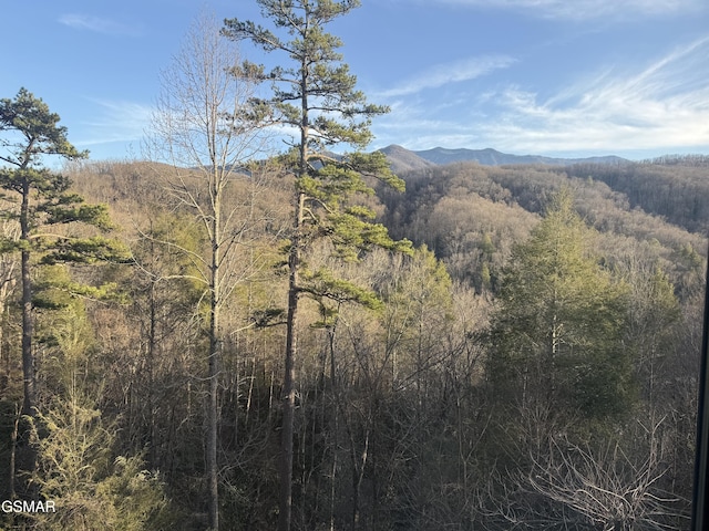 mountain view featuring a forest view