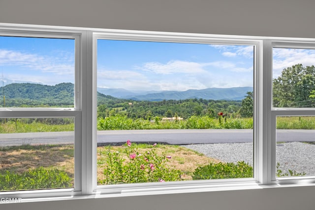 1507 Denton Rd, Sevierville, TN 37862 - photo 9