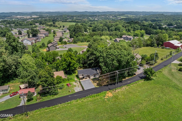 1507 Denton Rd, Sevierville, TN 37862 - photo 35