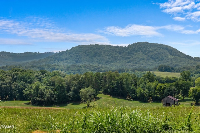 1507 Denton Rd, Sevierville, TN 37862 - photo 44