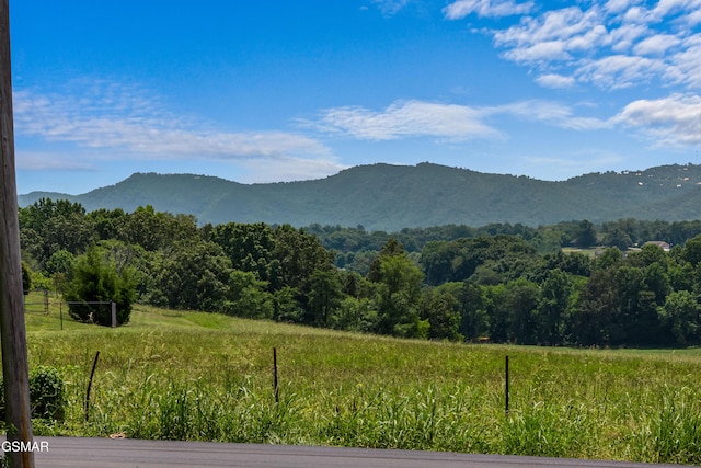 1507 Denton Rd, Sevierville, TN 37862 - photo 37