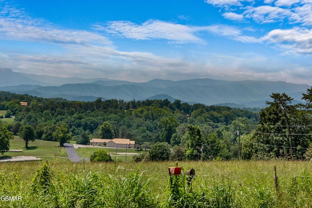1507 Denton Rd, Sevierville, TN 37862 - photo 43