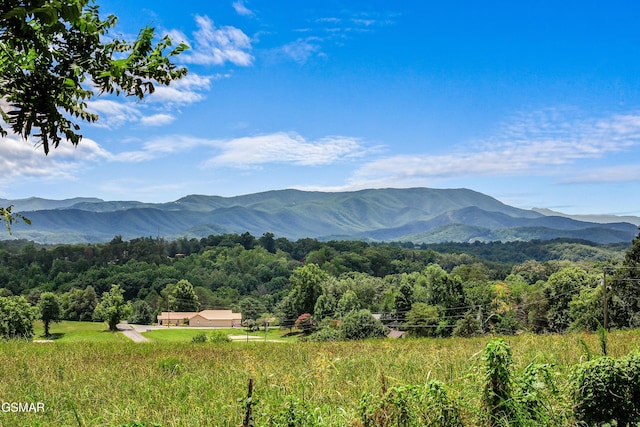 1507 Denton Rd, Sevierville, TN 37862 - photo 42