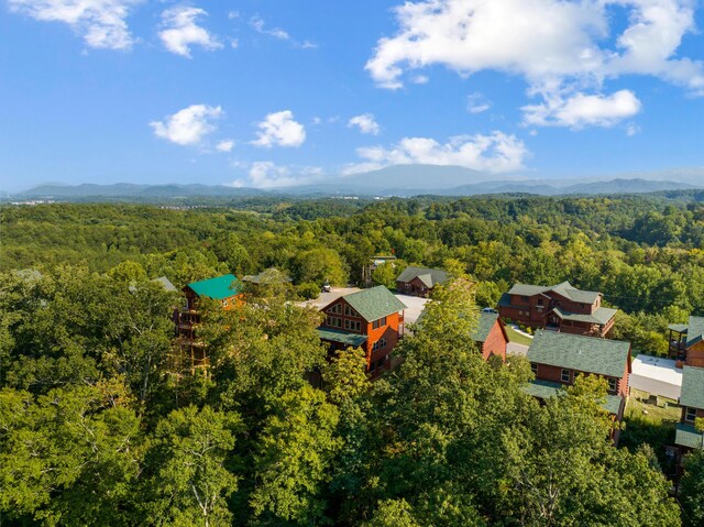 drone / aerial view with a mountain view