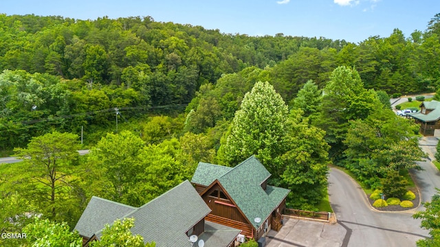 2024 Bear Haven Way, Sevierville, TN 37876 - photo 34