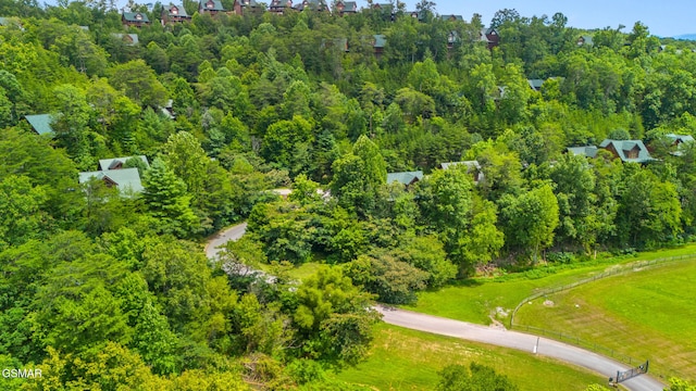 2024 Bear Haven Way, Sevierville, TN 37876 - photo 35