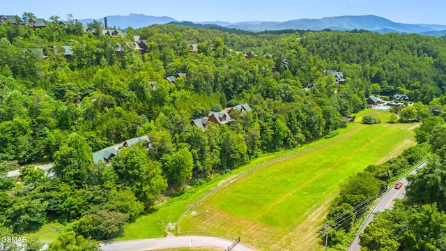 2024 Bear Haven Way, Sevierville, TN 37876 - photo 37