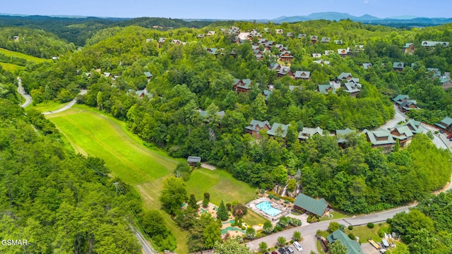 2024 Bear Haven Way, Sevierville, TN 37876 - photo 41