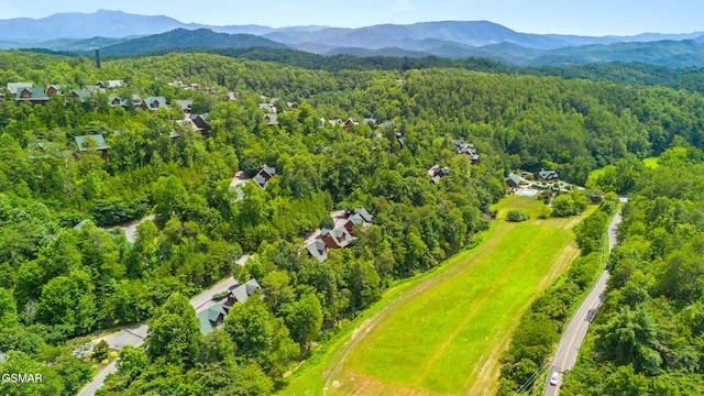 2024 Bear Haven Way, Sevierville, TN 37876 - photo 38