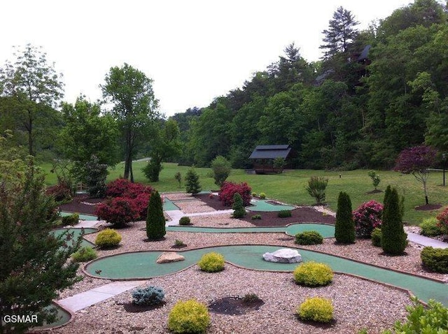 2024 Bear Haven Way, Sevierville, TN 37876 - photo 43