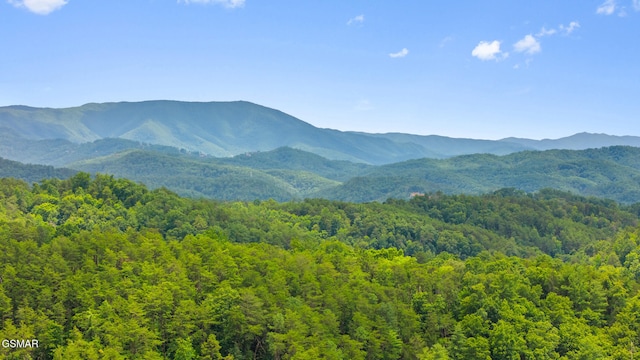 2024 Bear Haven Way, Sevierville, TN 37876 - photo 40