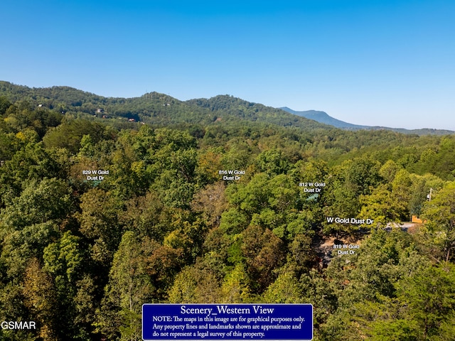 LOT1D W Gold Dust Dr, Pigeon Forge, TN 37863 - photo 11