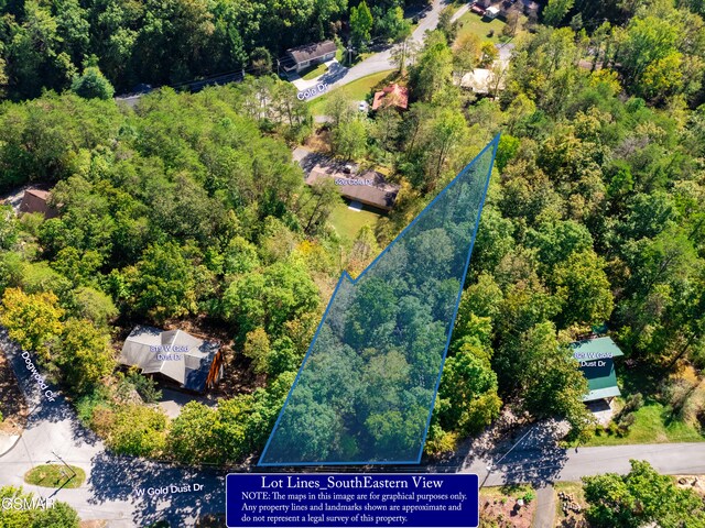 LOT1D W Gold Dust Dr, Pigeon Forge, TN 37863 - photo 4