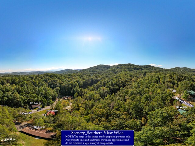 LOT1D W Gold Dust Dr, Pigeon Forge, TN 37863 - photo 19