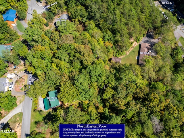LOT1D W Gold Dust Dr, Pigeon Forge, TN 37863 - photo 25