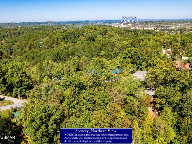 LOT1D W Gold Dust Dr, Pigeon Forge, TN 37863 - photo 29