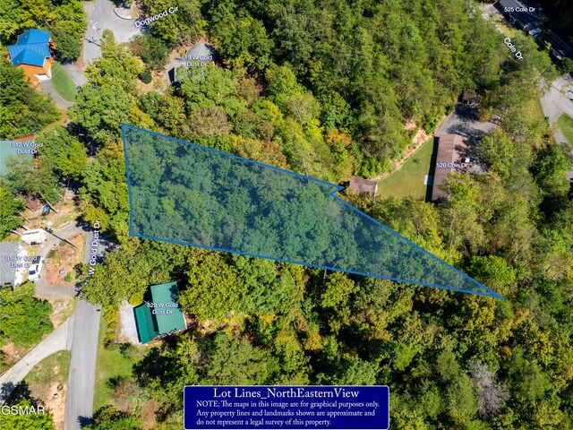 LOT1D W Gold Dust Dr, Pigeon Forge, TN 37863 - photo 10