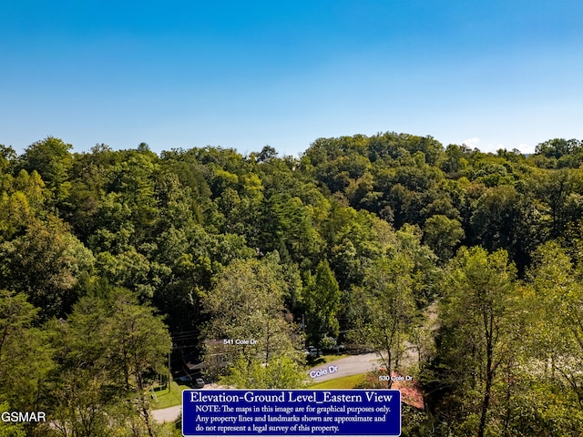 LOT1D W Gold Dust Dr, Pigeon Forge, TN 37863 - photo 33