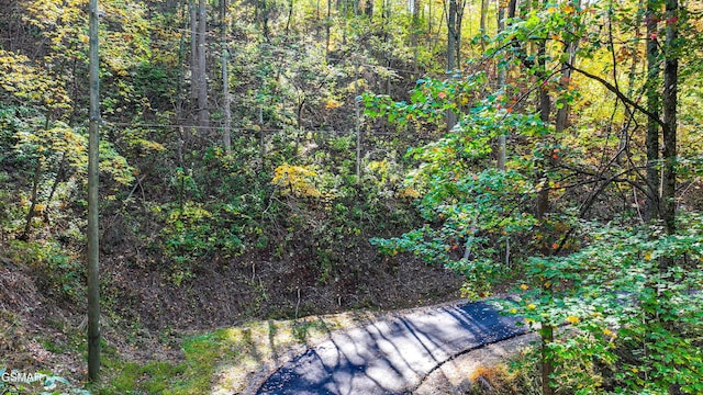 Listing photo 3 for Lot6 Emerald Springs Loop, Sevierville TN 37862