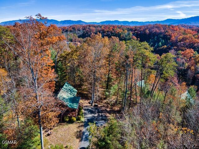 bird's eye view with a mountain view