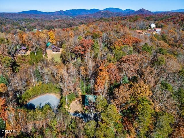 aerial view featuring a mountain view