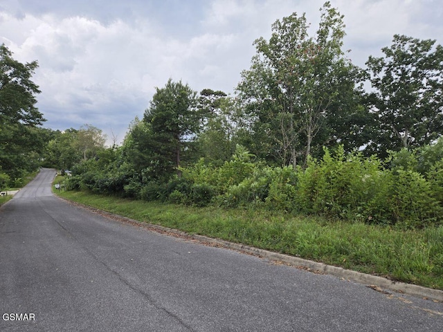 LOT3 Shell Mountain Rd, Sevierville, TN 37876 - photo 1