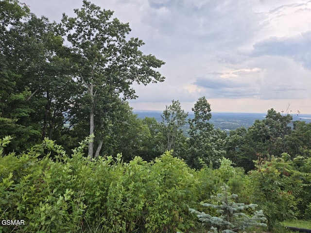 LOT3 Shell Mountain Rd, Sevierville, TN 37876 - photo 4