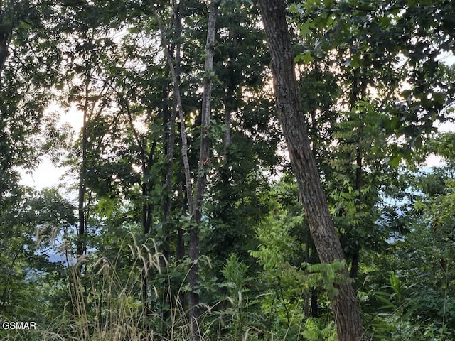 LOT3 Shell Mountain Rd, Sevierville, TN 37876 - photo 8