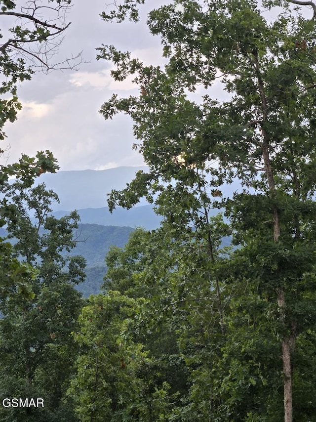 LOT3 Shell Mountain Rd, Sevierville, TN 37876 - photo 6