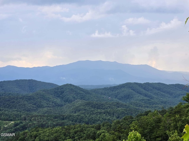 LOT3 Shell Mountain Rd, Sevierville, TN 37876 - photo 14