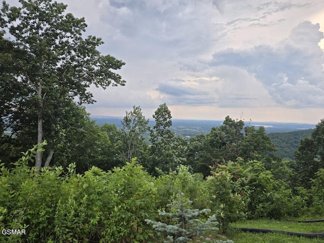 LOT3 Shell Mountain Rd, Sevierville, TN 37876 - photo 5