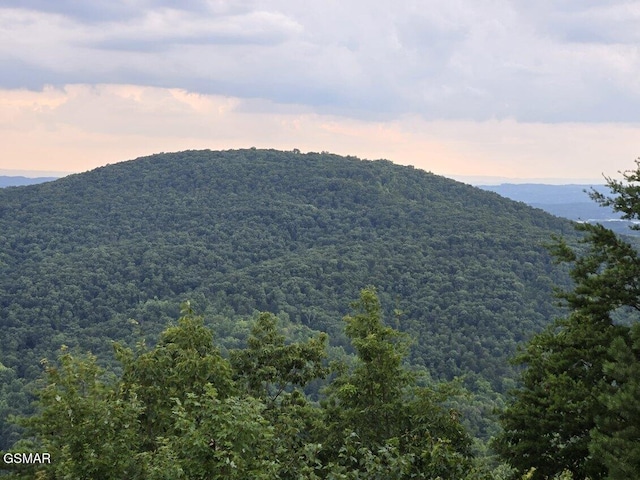 LOT3 Shell Mountain Rd, Sevierville, TN 37876 - photo 9
