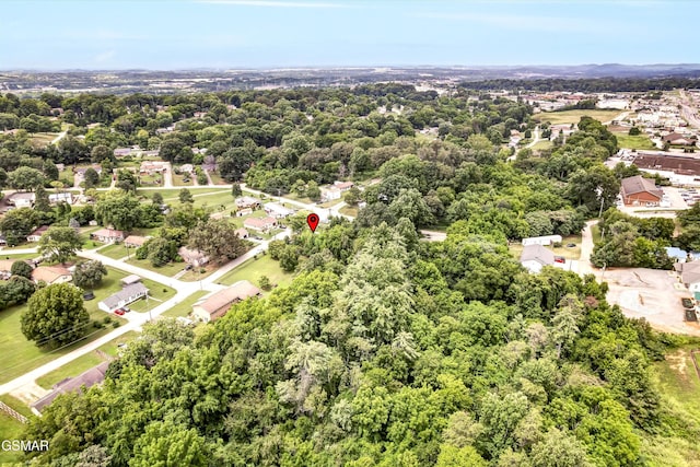 1904 Smokemont Dr, Maryville, TN 37801 - photo 42
