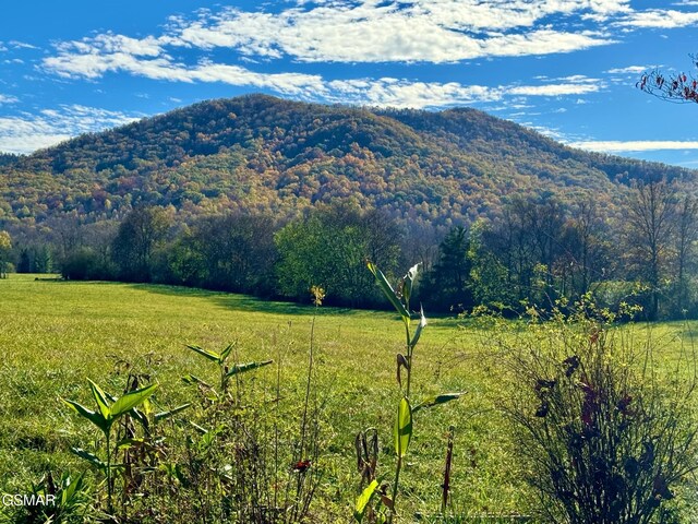 view of mountain feature featuring a rural view